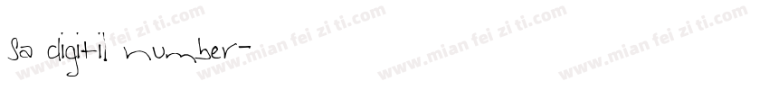 sa digitil number字体转换